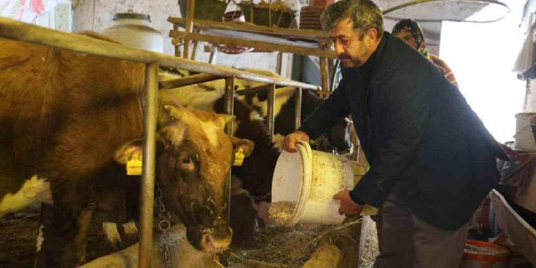 Dondurucu soğuk engel olmuyor, alın teri döküyorlar! Ağır kış şartlarının en açık tablosu: Besiciler durmaksızın çalışıyorlar 5